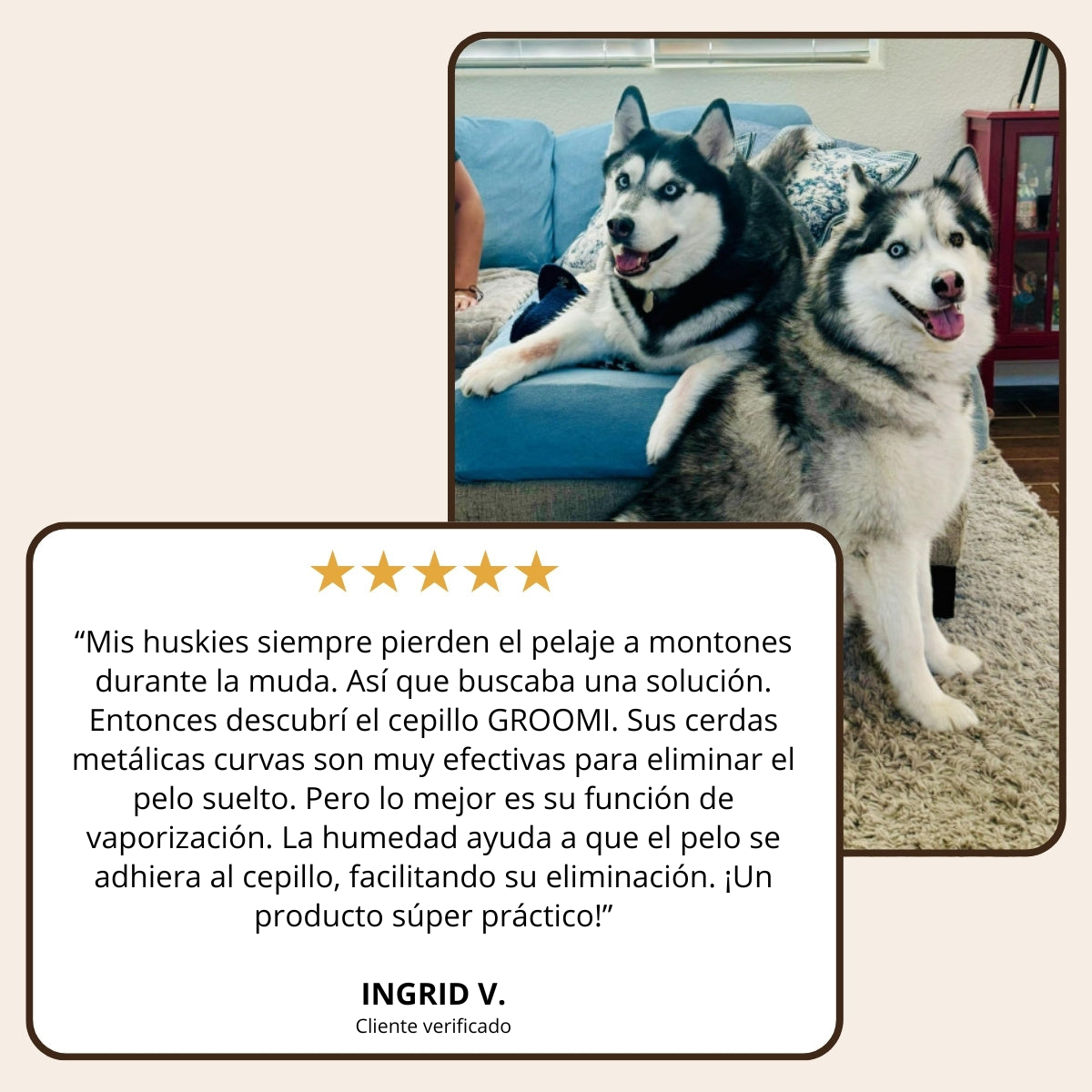 Groomi™ Pro | Cepillo profesional para el cuidado de mascotas